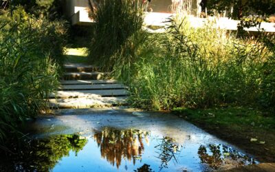 How to Diagnose and Solve Common Drainage Issues in North Atlanta Landscapes: A Homeowner’s Guide