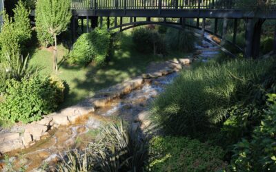 Spring Drainage Checklist for Atlanta Landscapes: Fix Water Issues Before You Plant