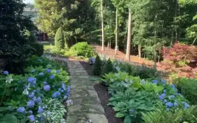 The Smart Plan for a Lasting Landscape: Balancing Beauty, Structure, and Performance in North Atlanta