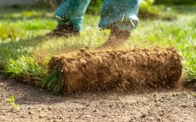 Rain‑Ready, Custom, and Low‑Maintenance: The North Atlanta Landscape Blueprint